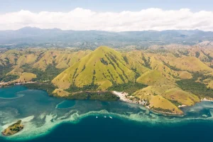 Logistics of Importing Bali Buddha Statues