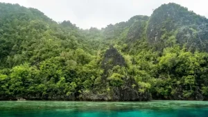 Planning Your 2027 Raja Ampat Luxury Charter: An Insider’s Checklist
