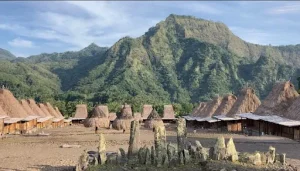 Suar Wood Buddha Statues from Bali
